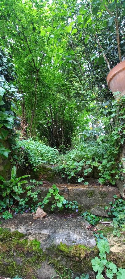 Villa Marguerite Terrasse & Garage ベルベス エクステリア 写真